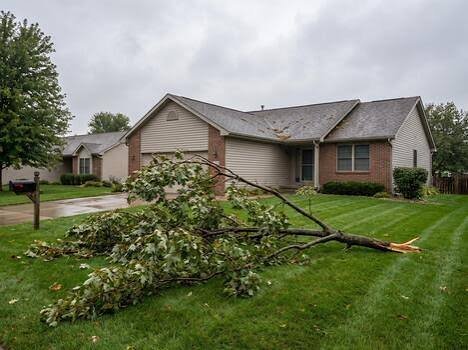 emergency landscaping